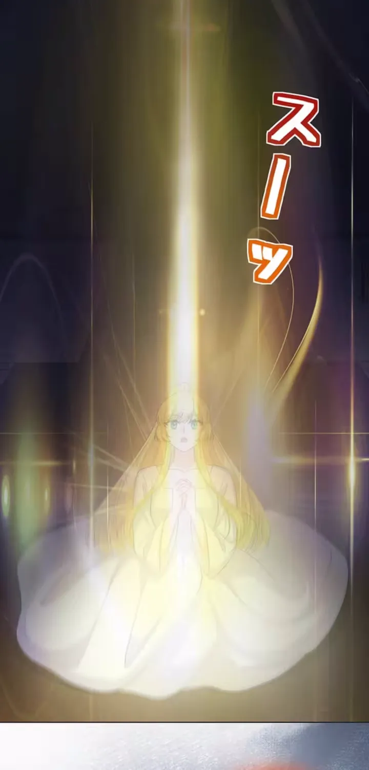 The Holy Sword Lady
