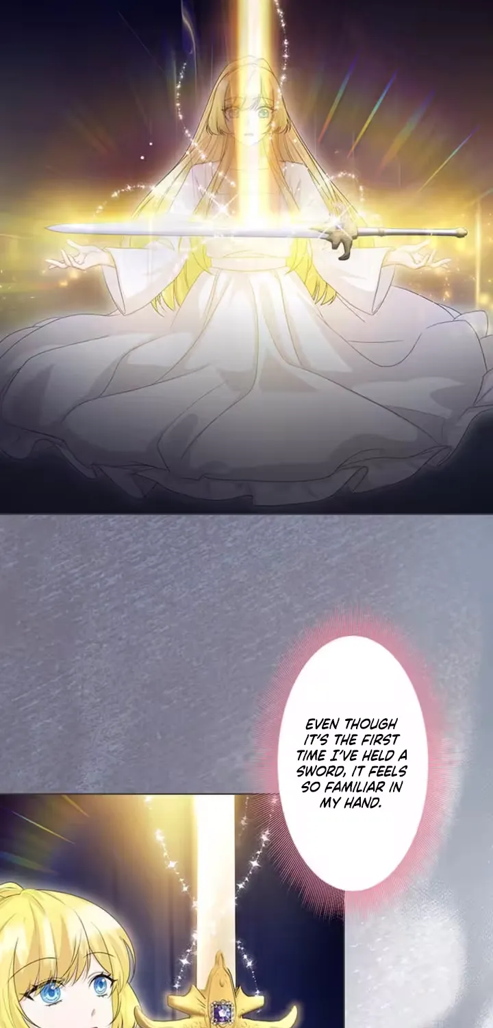 The Holy Sword Lady