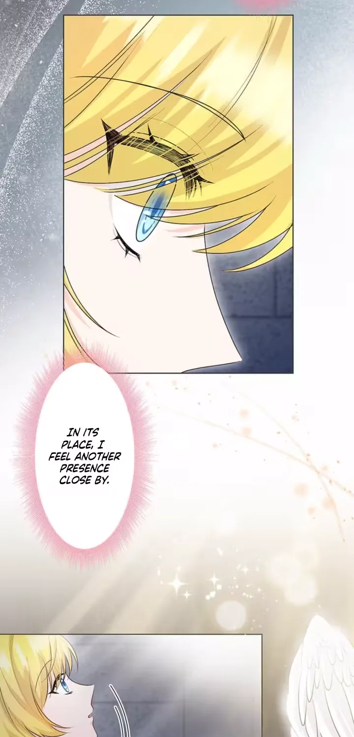 The Holy Sword Lady