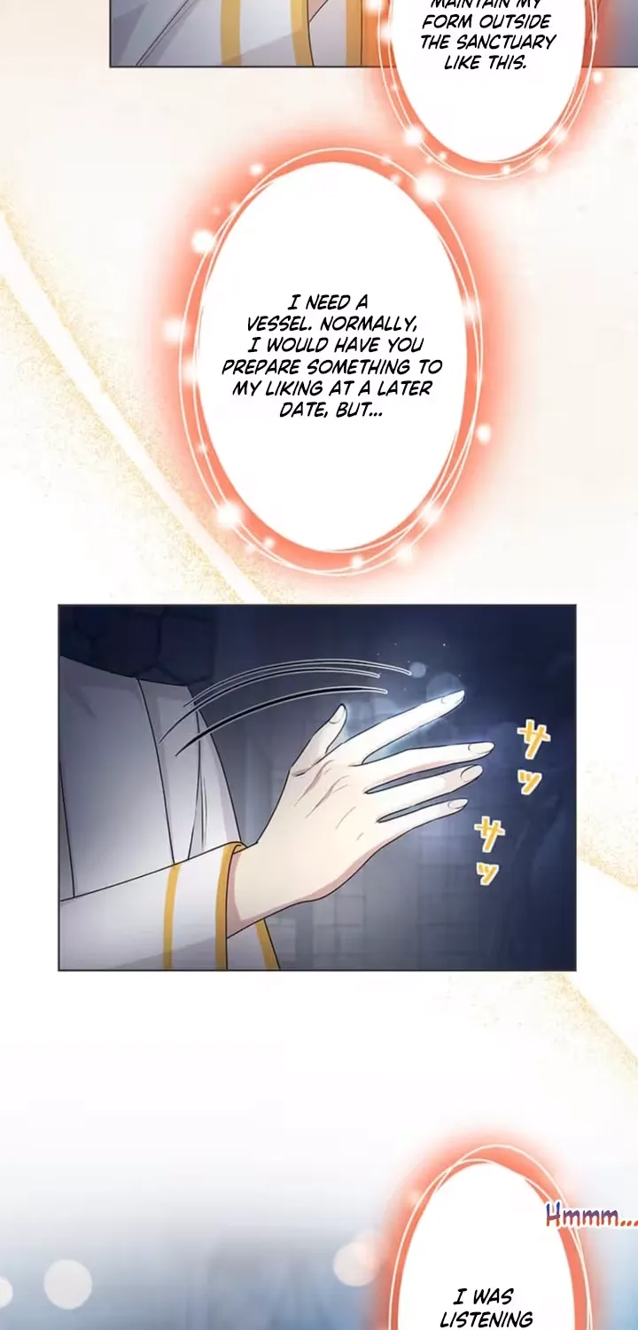 The Holy Sword Lady