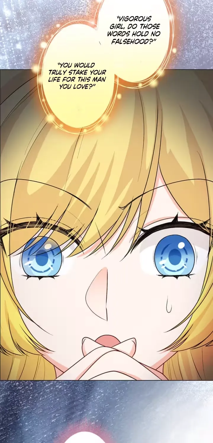 The Holy Sword Lady