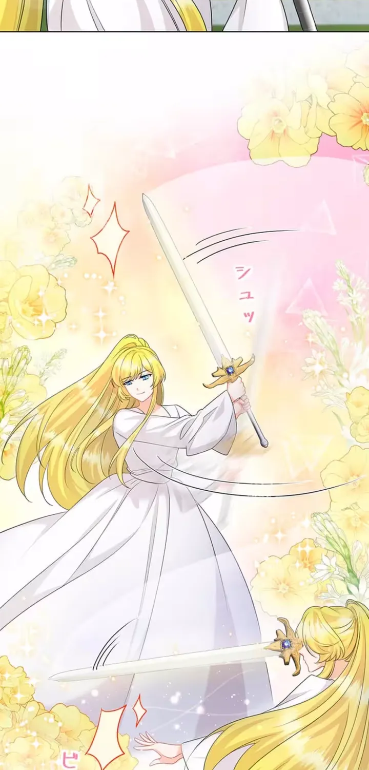 The Holy Sword Lady