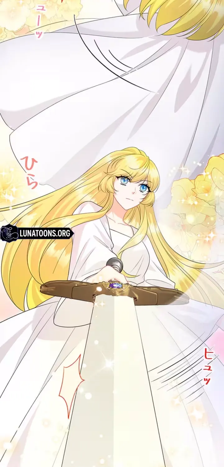 The Holy Sword Lady