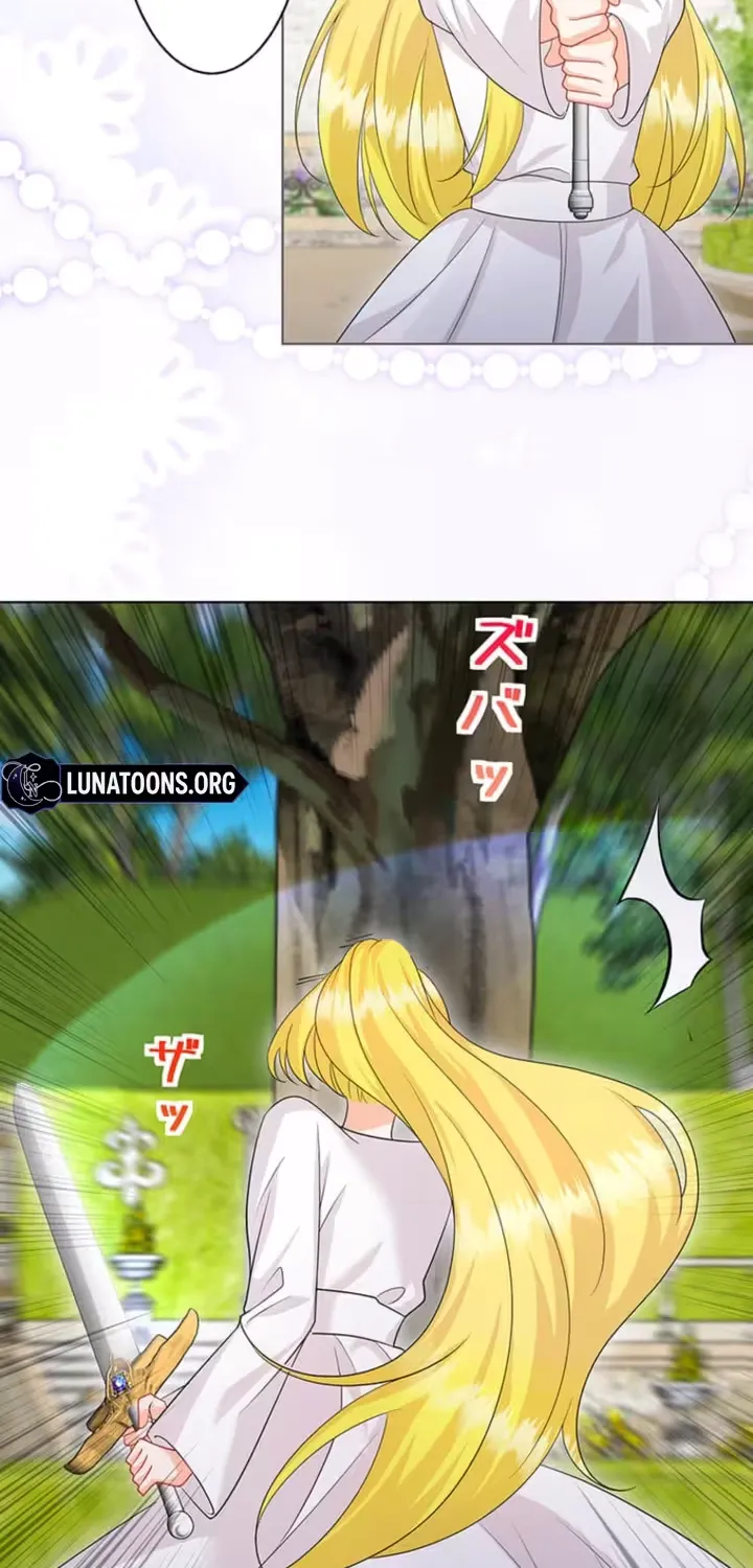 The Holy Sword Lady
