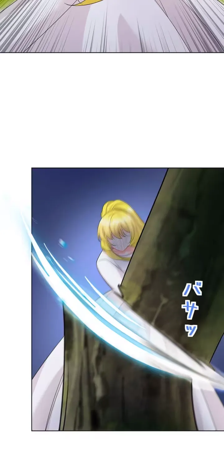 The Holy Sword Lady
