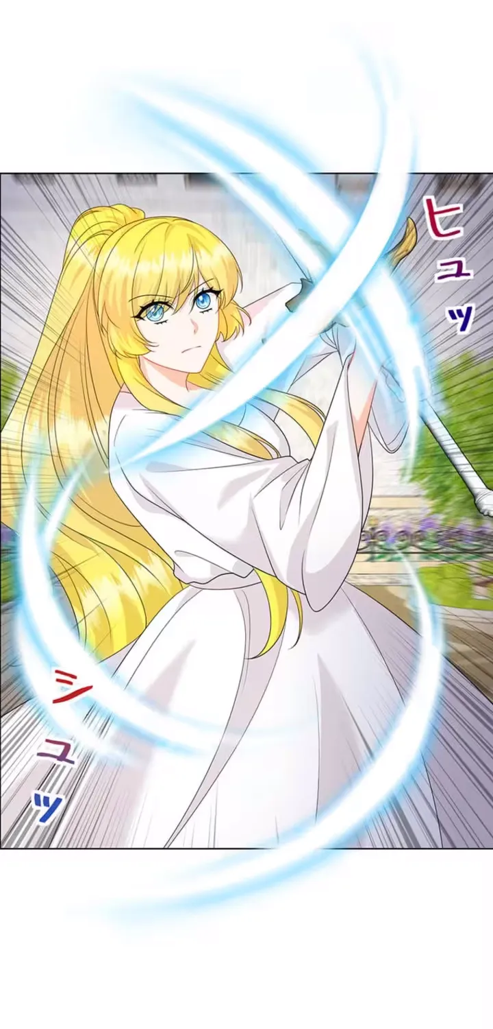 The Holy Sword Lady