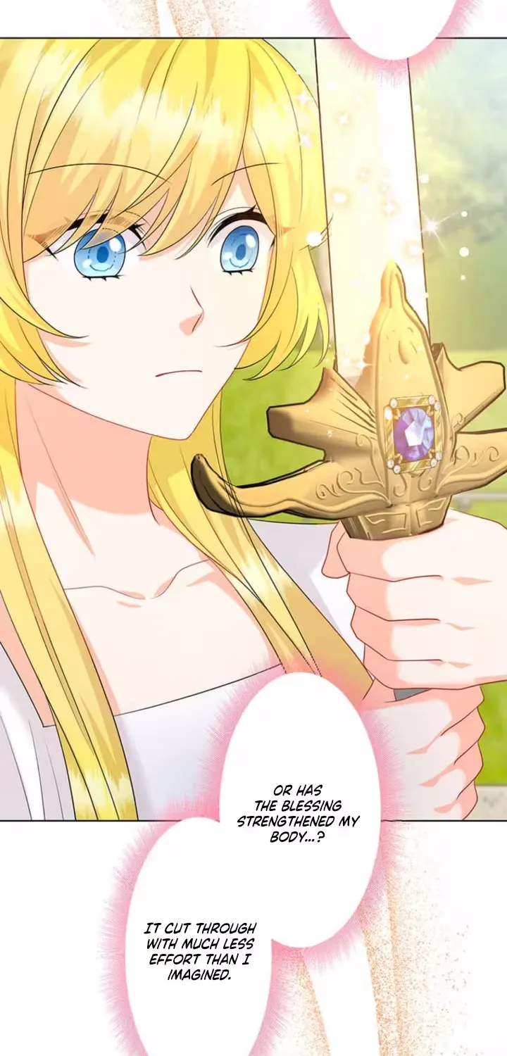 The Holy Sword Lady