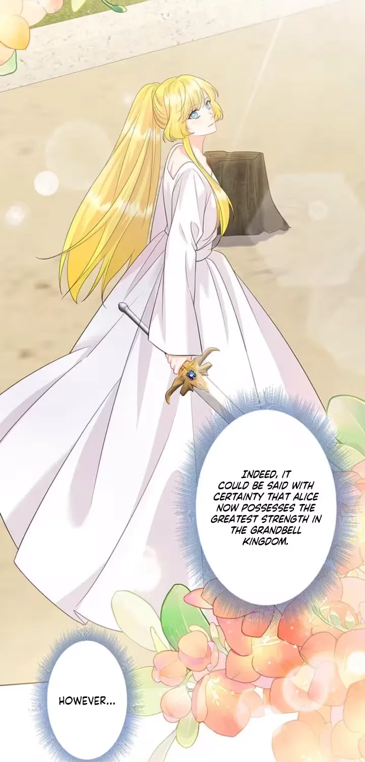 The Holy Sword Lady