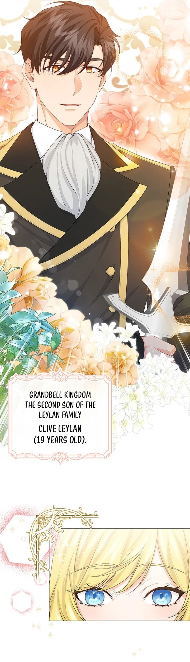 The Holy Sword Lady