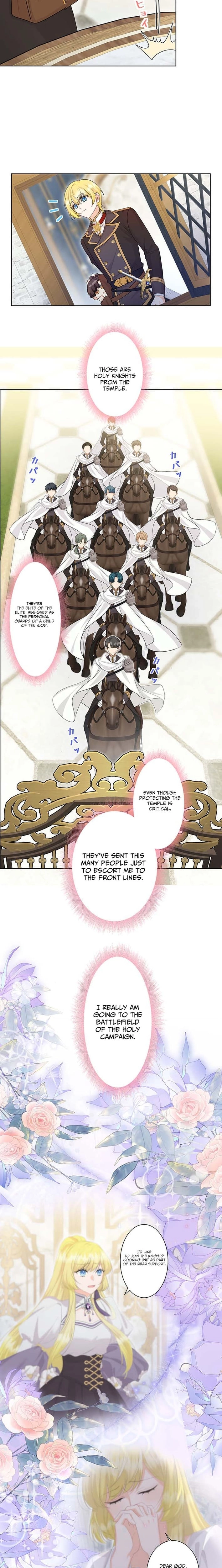 The Holy Sword Lady