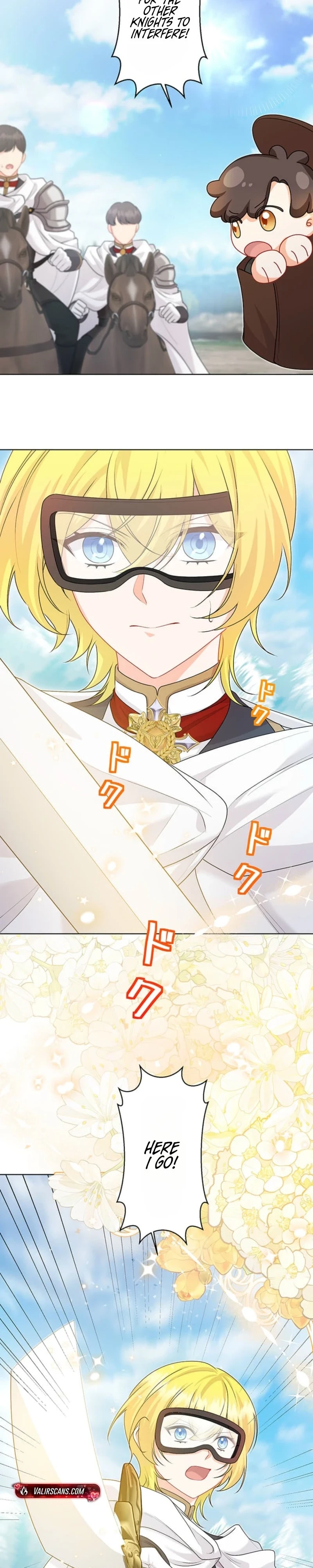 The Holy Sword Lady