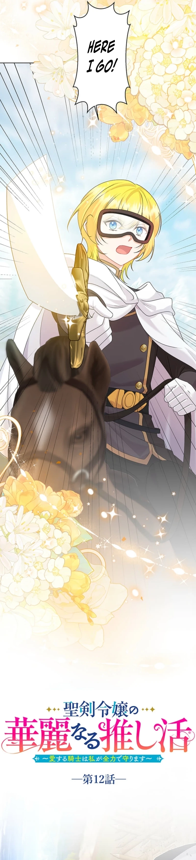 The Holy Sword Lady