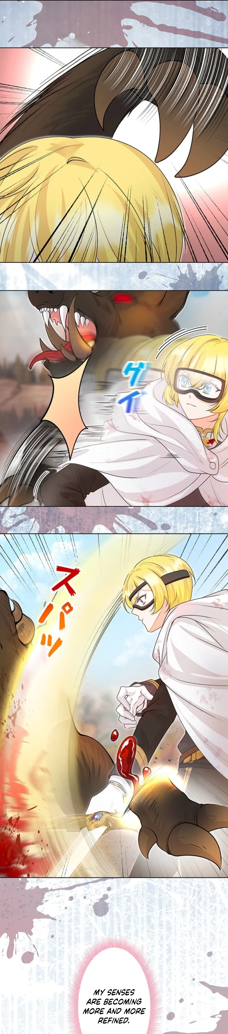 The Holy Sword Lady