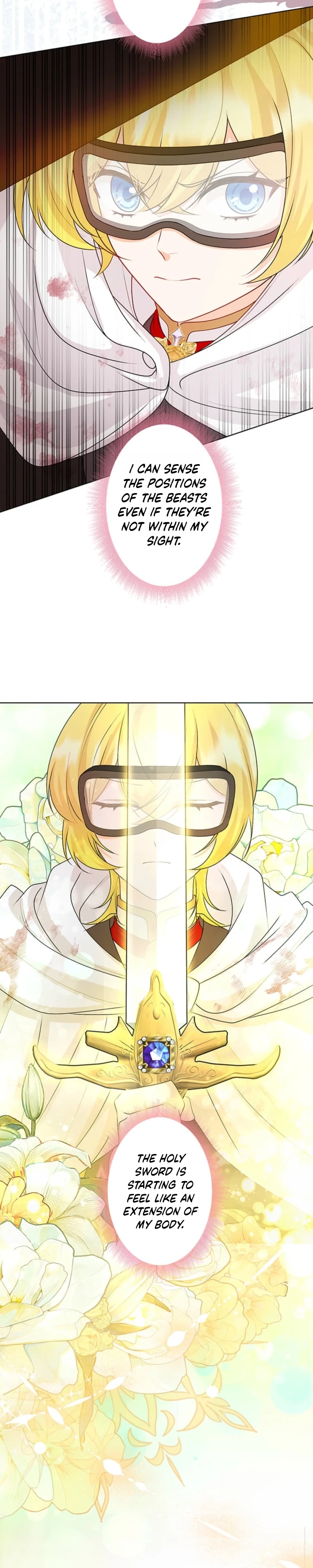 The Holy Sword Lady