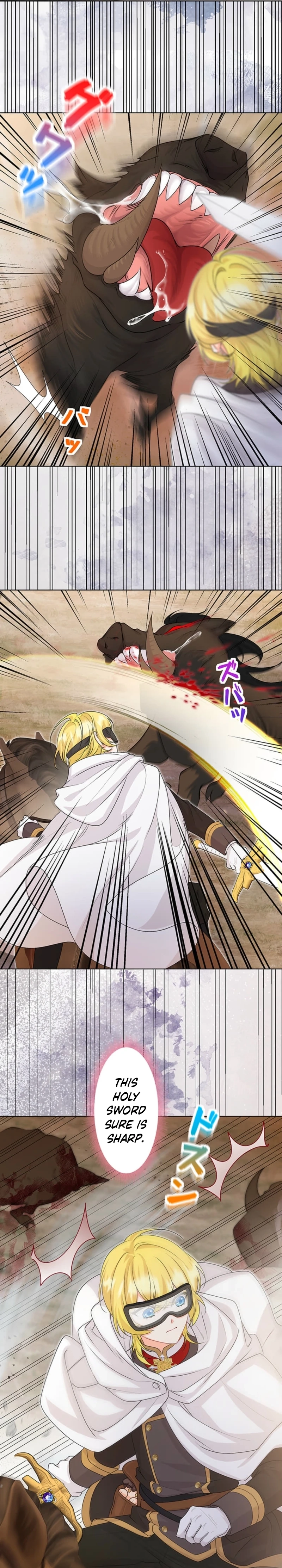 The Holy Sword Lady