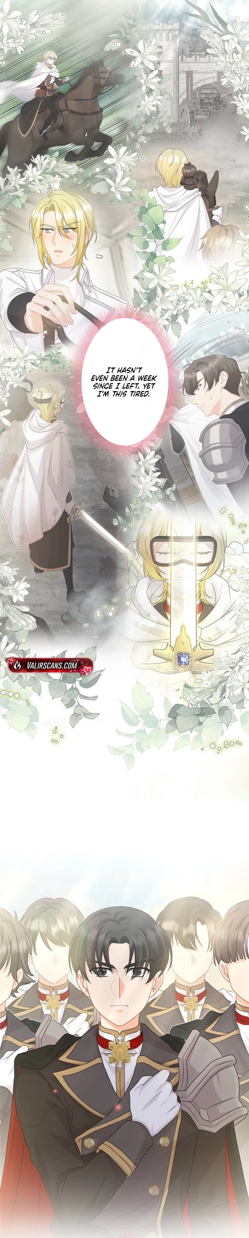 The Holy Sword Lady