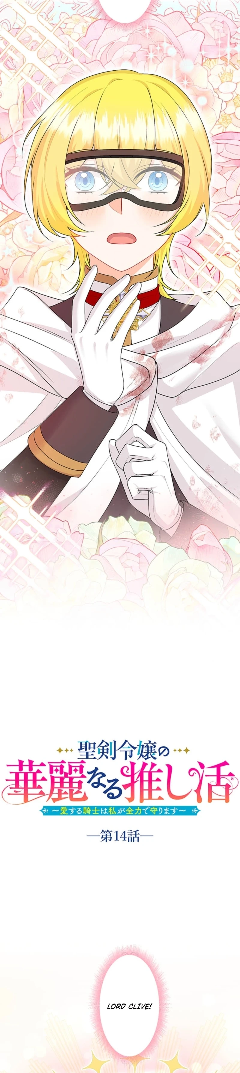 The Holy Sword Lady