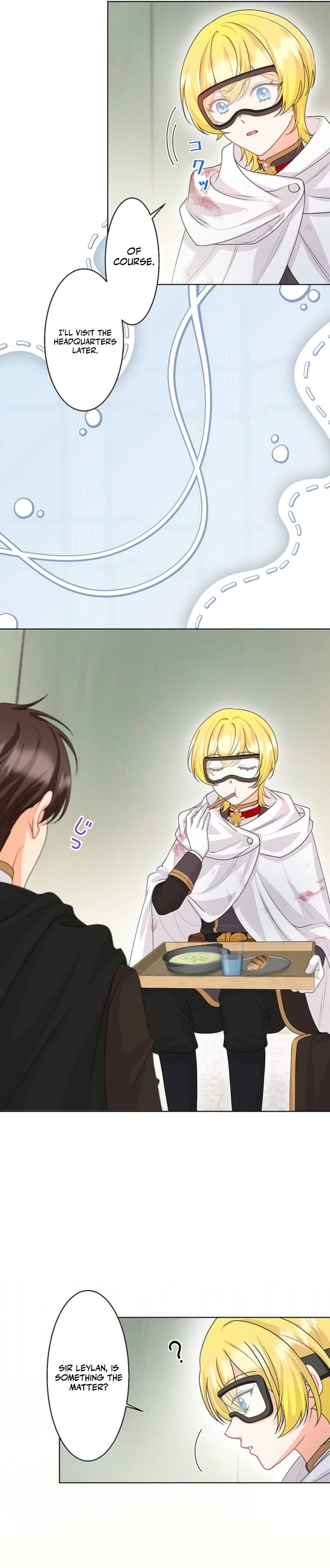 The Holy Sword Lady