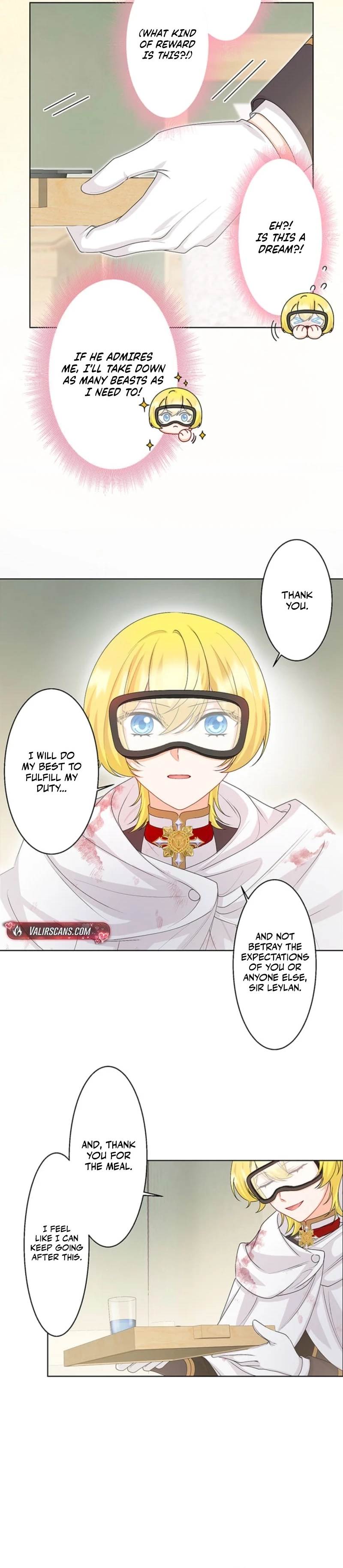 The Holy Sword Lady