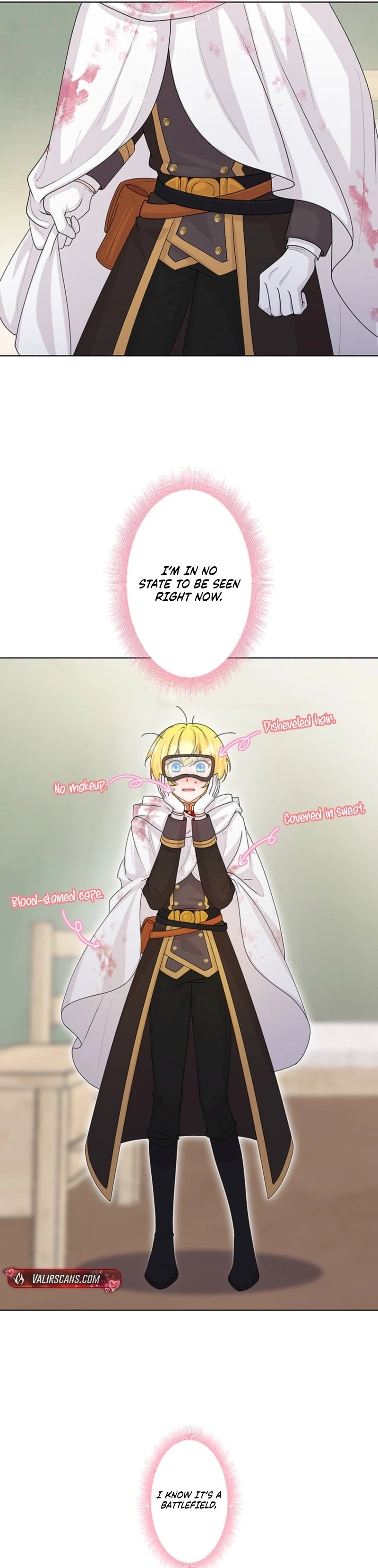 The Holy Sword Lady