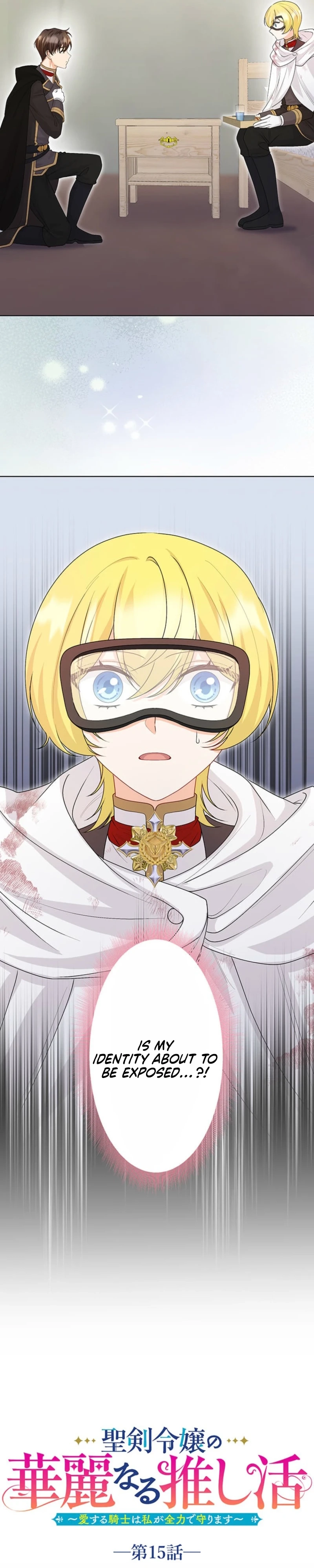 The Holy Sword Lady