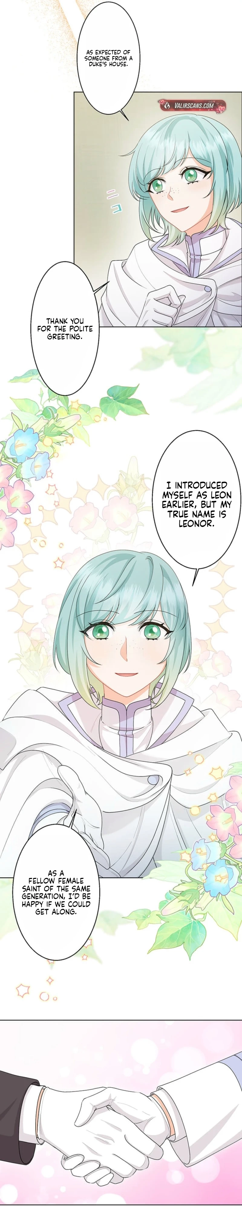 The Holy Sword Lady