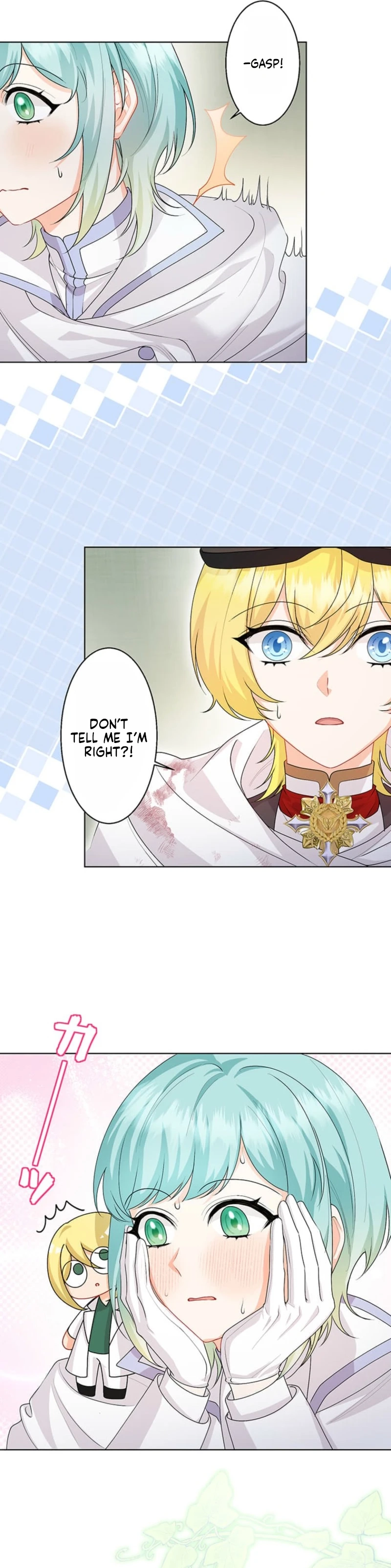 The Holy Sword Lady
