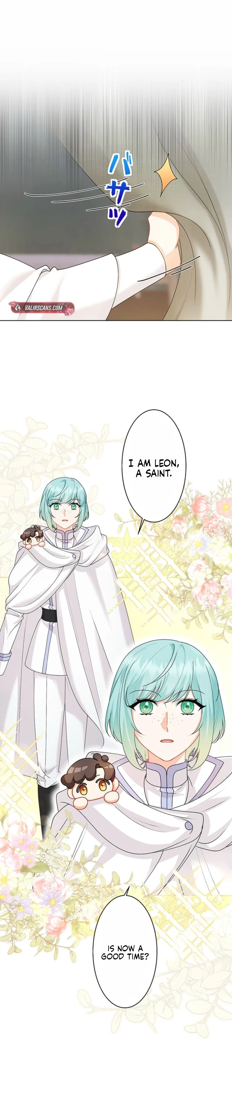 The Holy Sword Lady