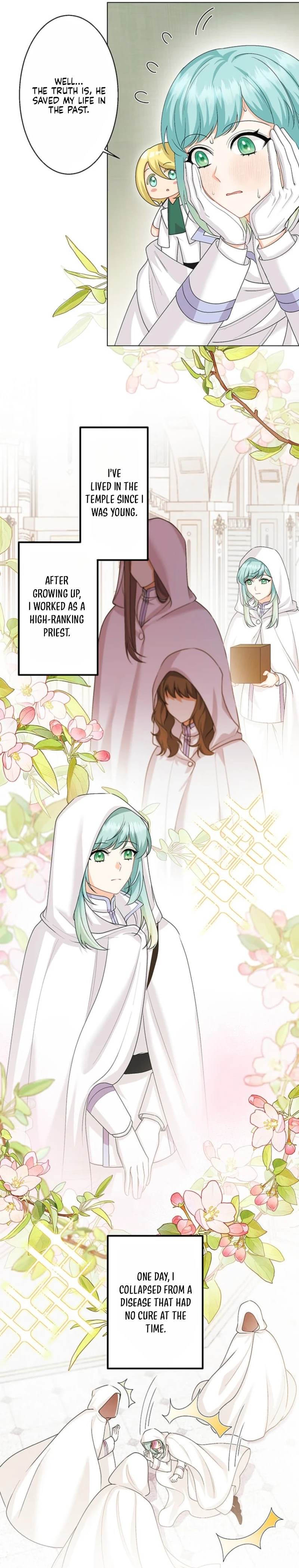The Holy Sword Lady