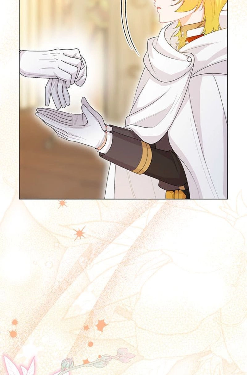 The Holy Sword Lady