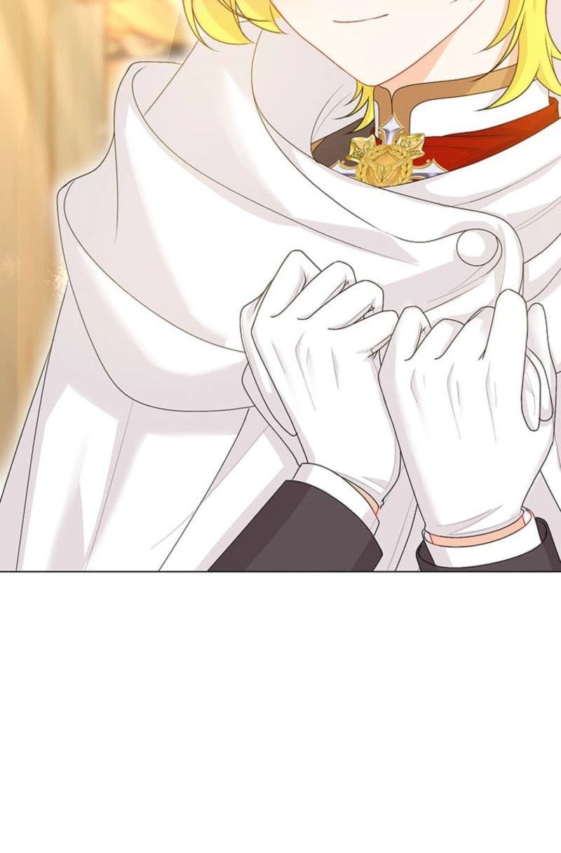 The Holy Sword Lady