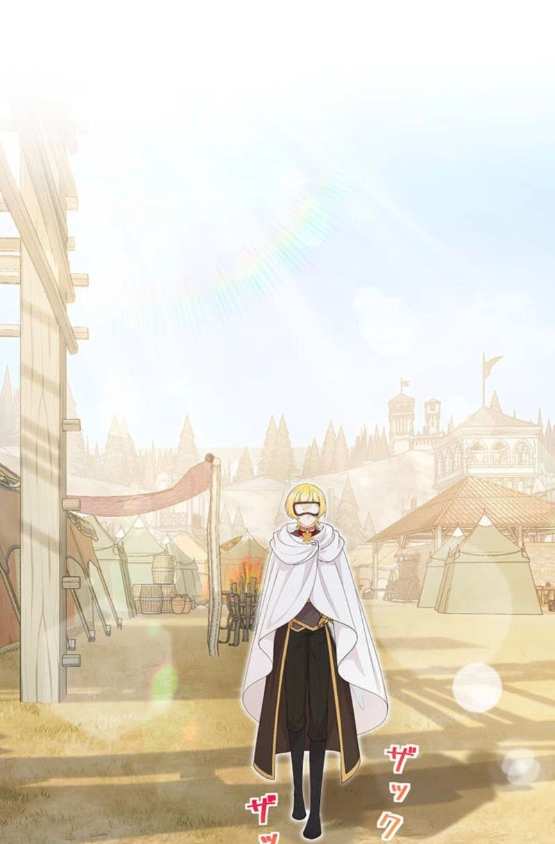 The Holy Sword Lady