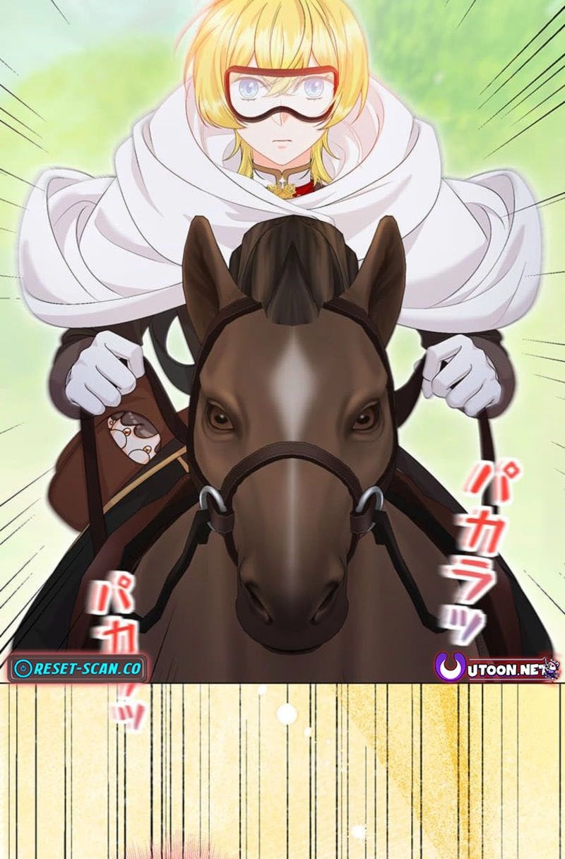 The Holy Sword Lady
