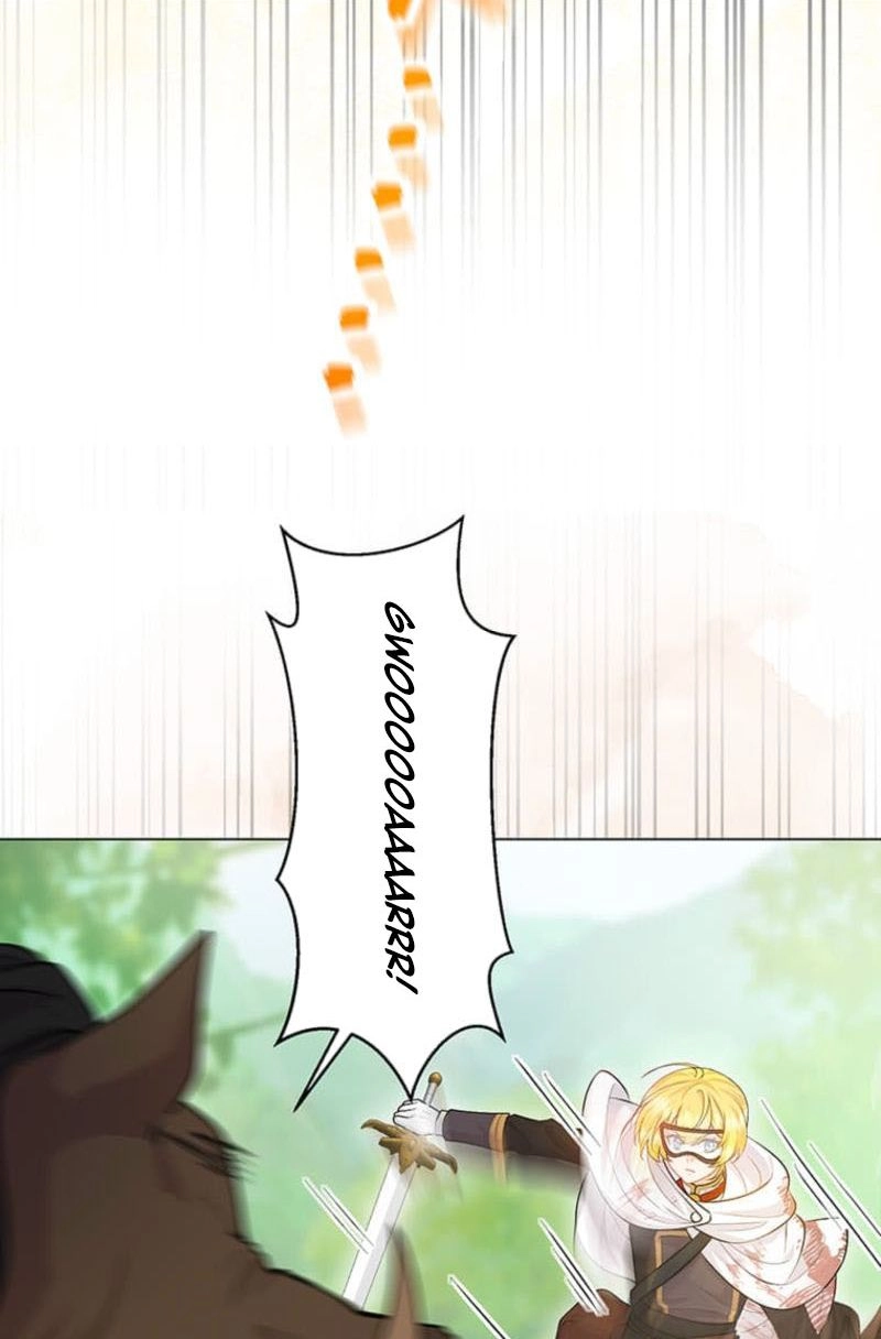 The Holy Sword Lady