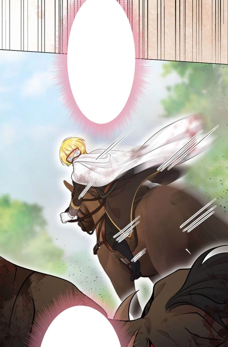 The Holy Sword Lady