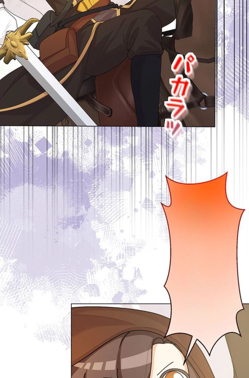 The Holy Sword Lady