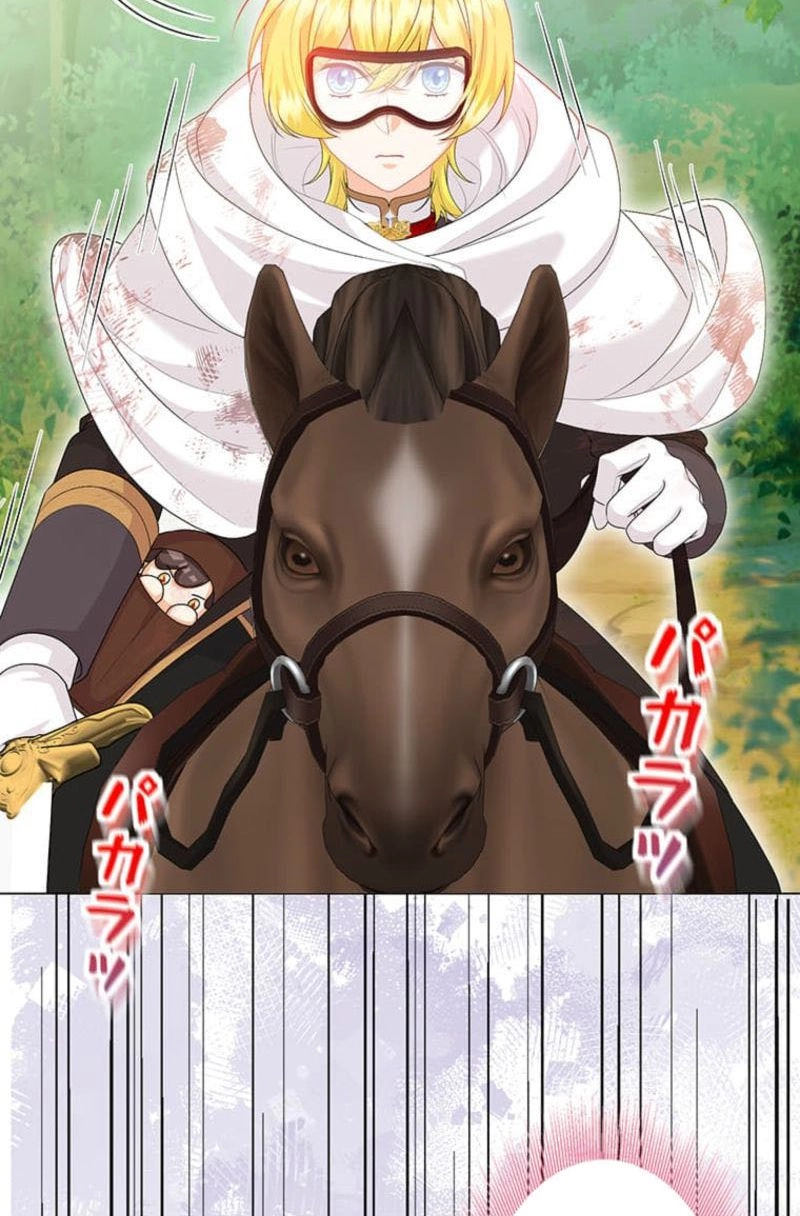 The Holy Sword Lady