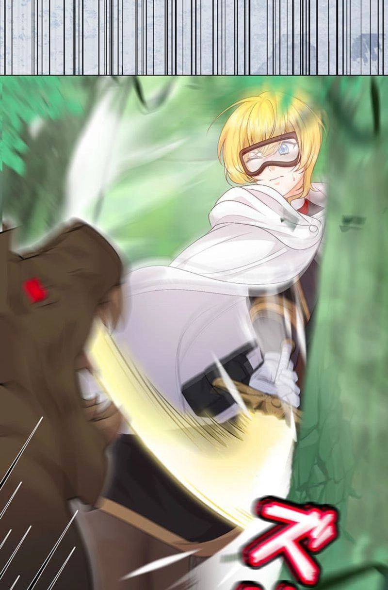The Holy Sword Lady