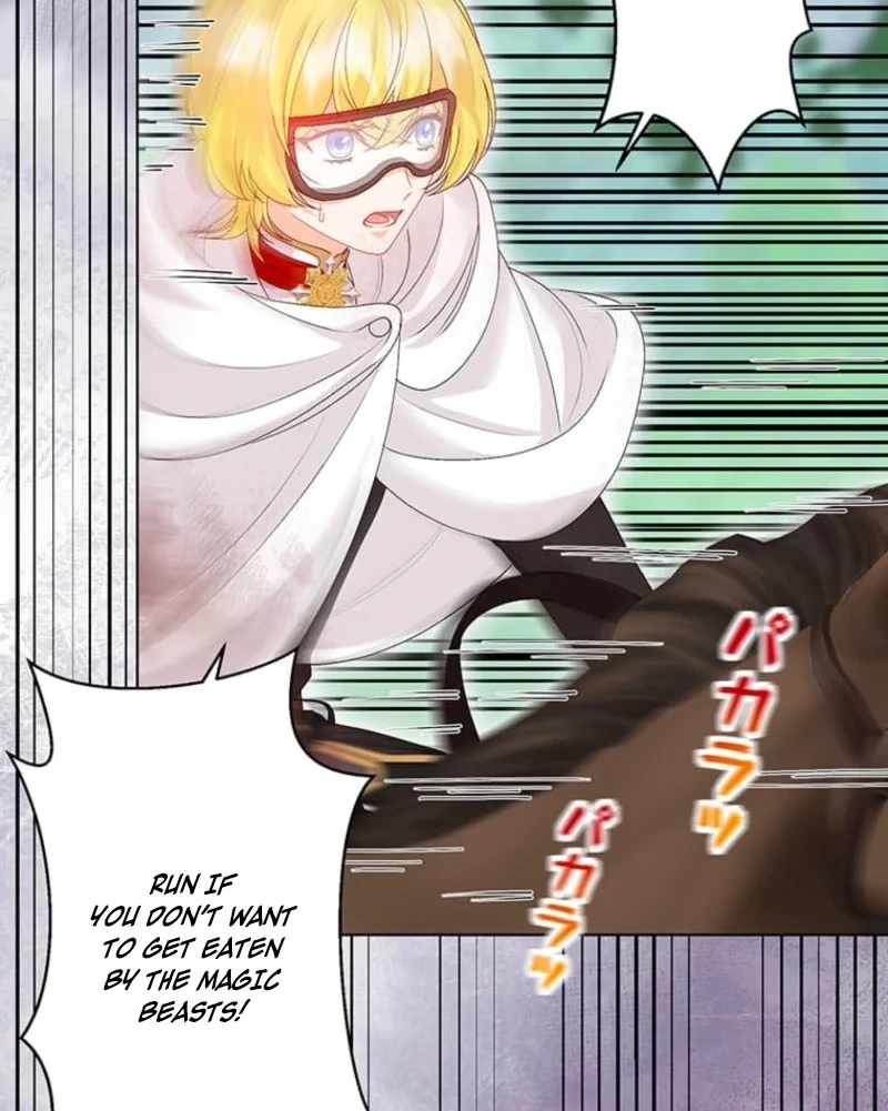 The Holy Sword Lady
