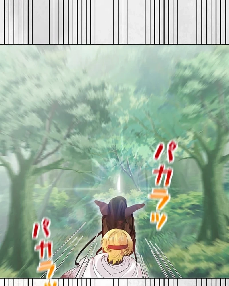 The Holy Sword Lady