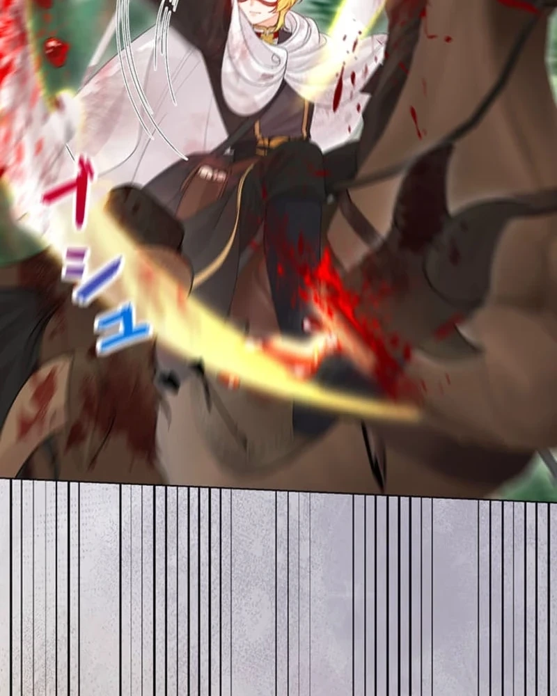 The Holy Sword Lady