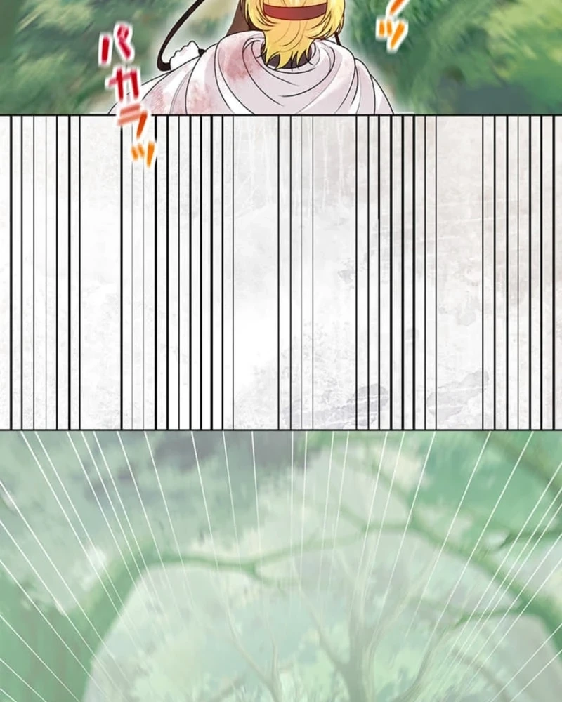 The Holy Sword Lady