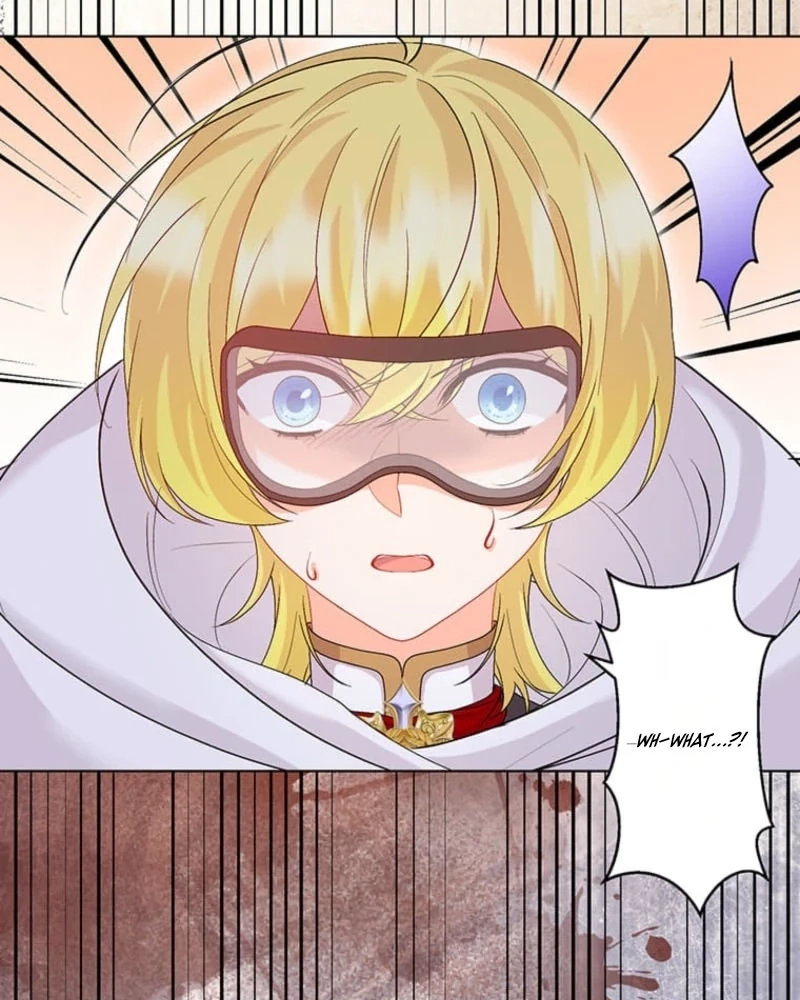The Holy Sword Lady