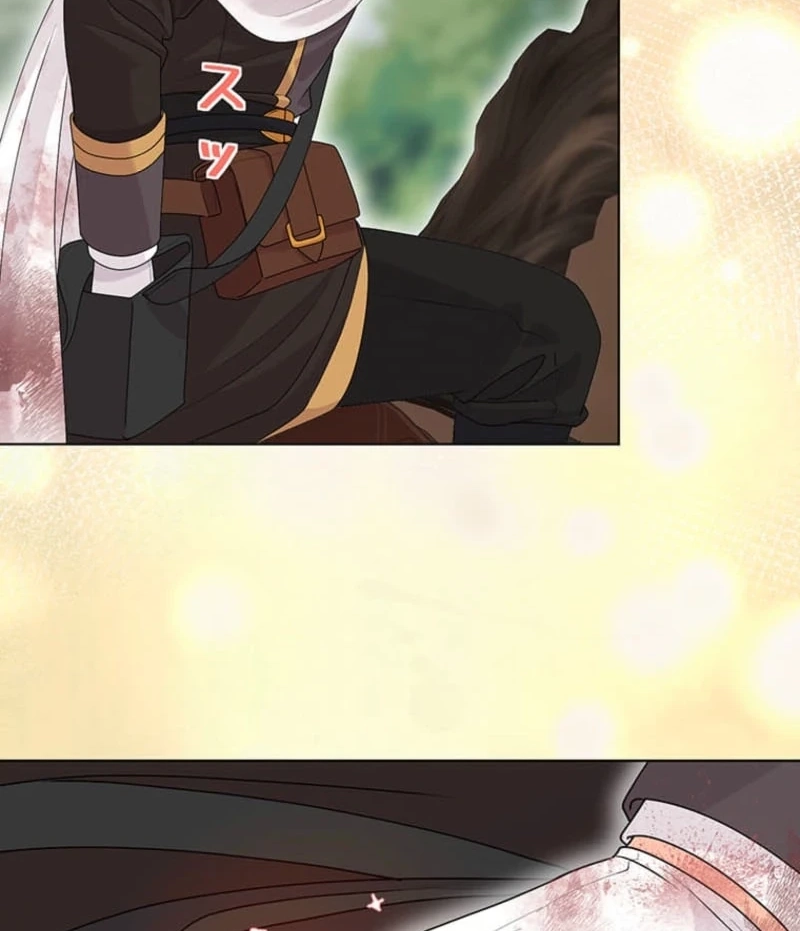 The Holy Sword Lady