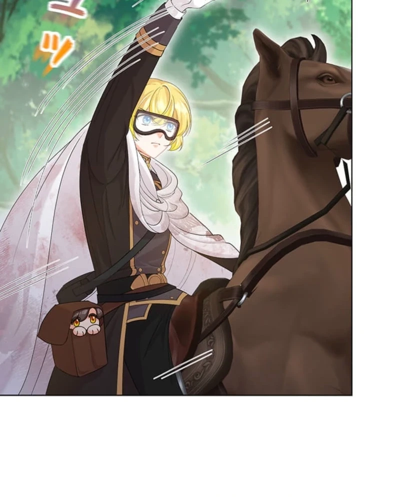 The Holy Sword Lady