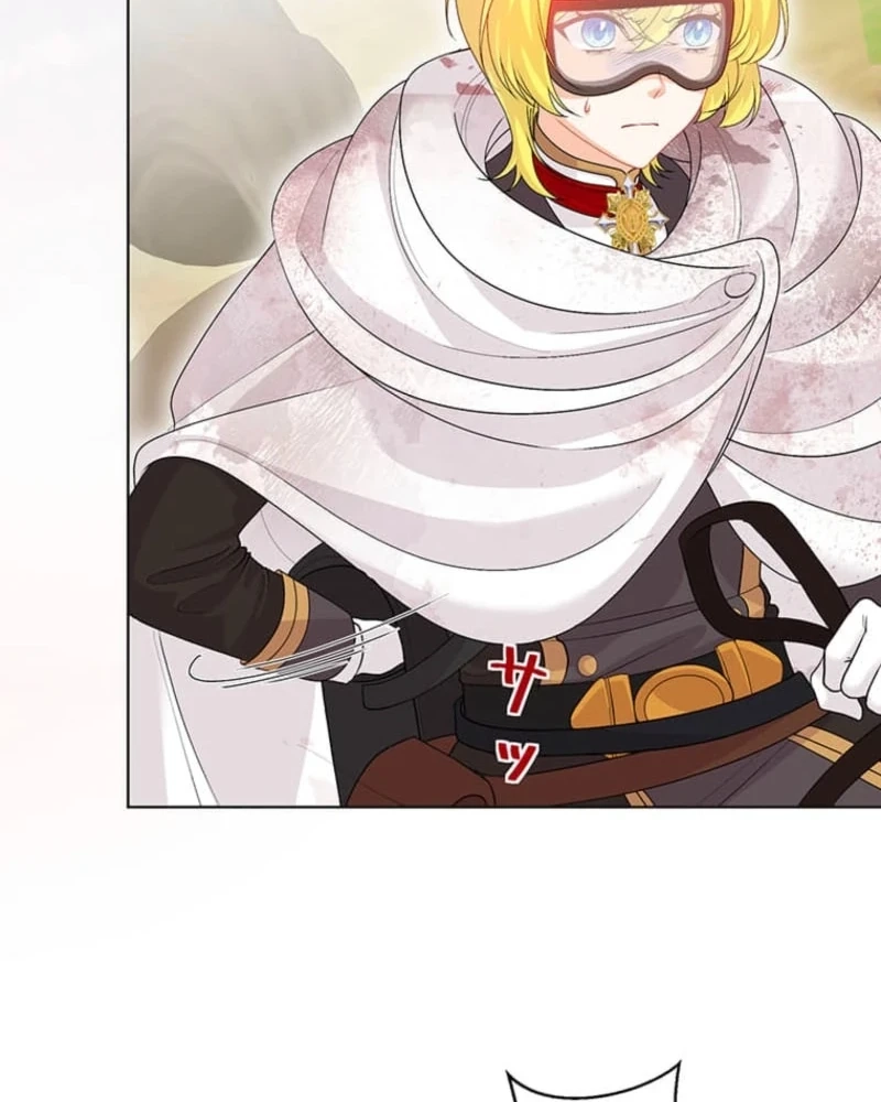 The Holy Sword Lady