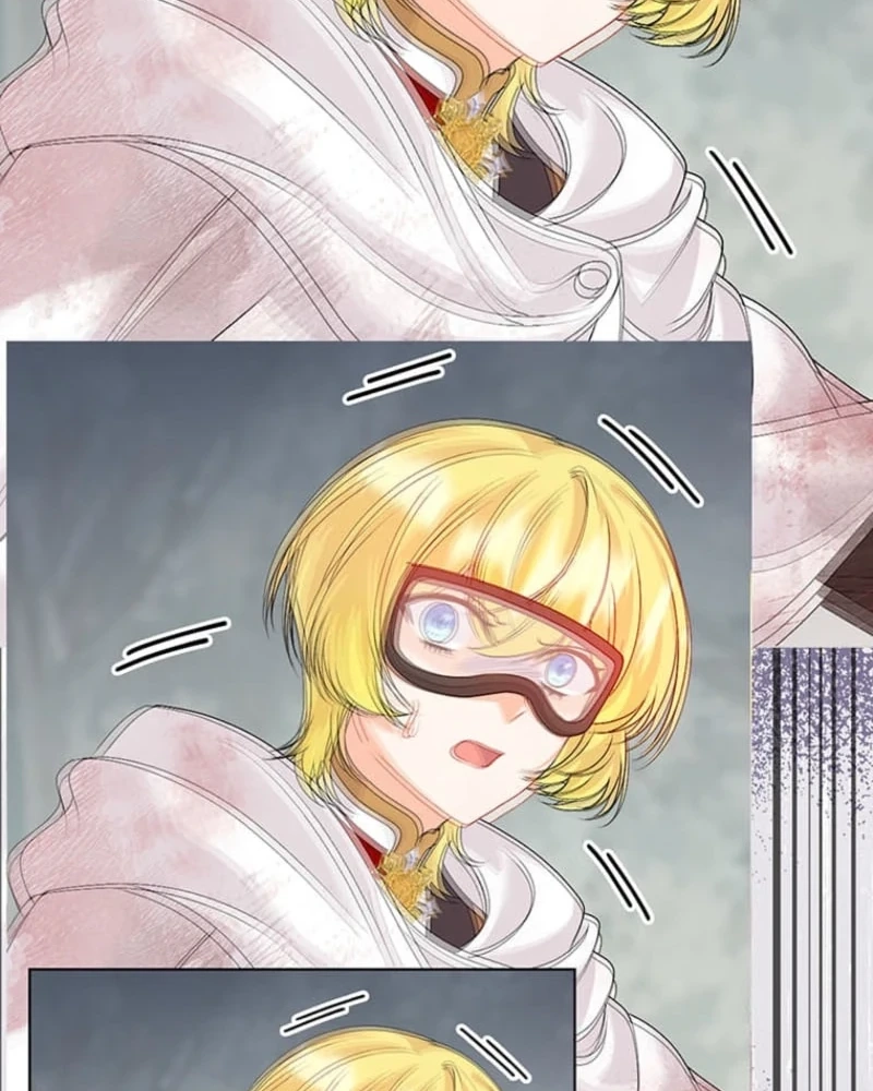 The Holy Sword Lady