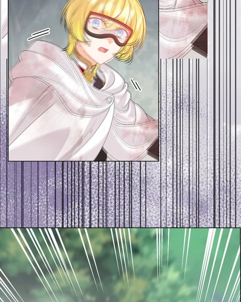 The Holy Sword Lady