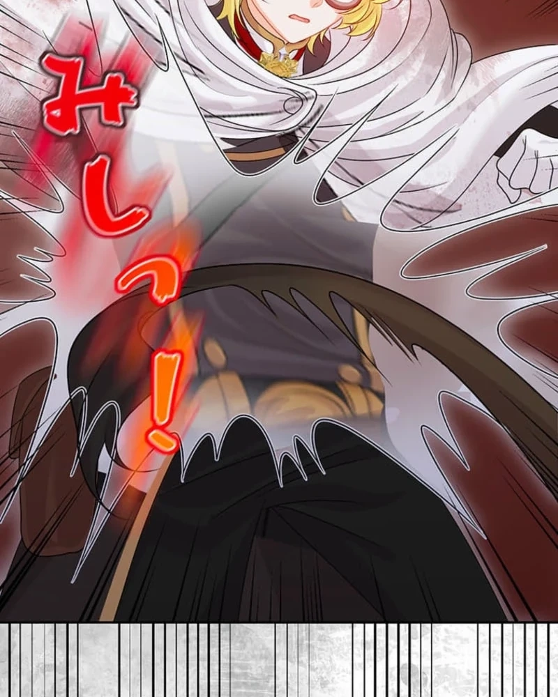 The Holy Sword Lady