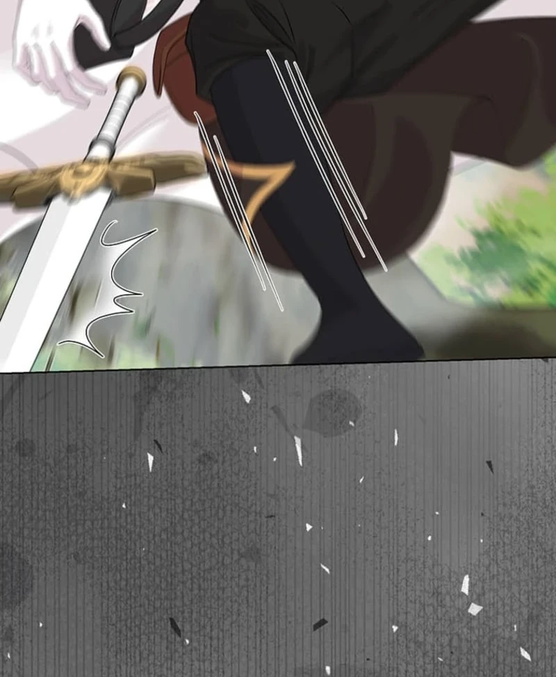 The Holy Sword Lady